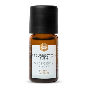 Ефірна олія Resurrection Bush дика Біо 1200 м Ангола 5 мл (Resurrection Bush-Öl 1200m Wild Bio)